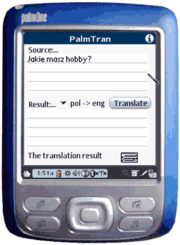Polish to English translation using PalmTran