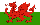 Welsh flag